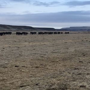 Meet your Posher, Chance